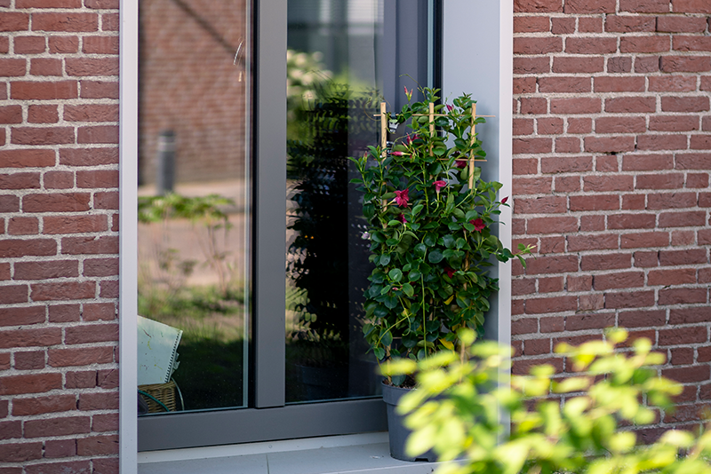 Houten kozijnen Hardenberg